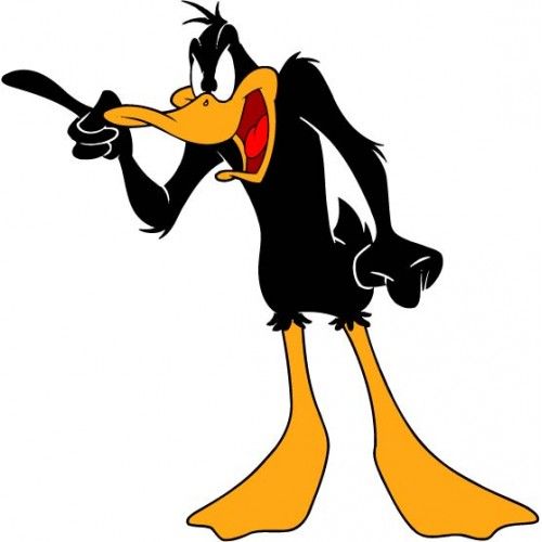 daffy duck wide receiver